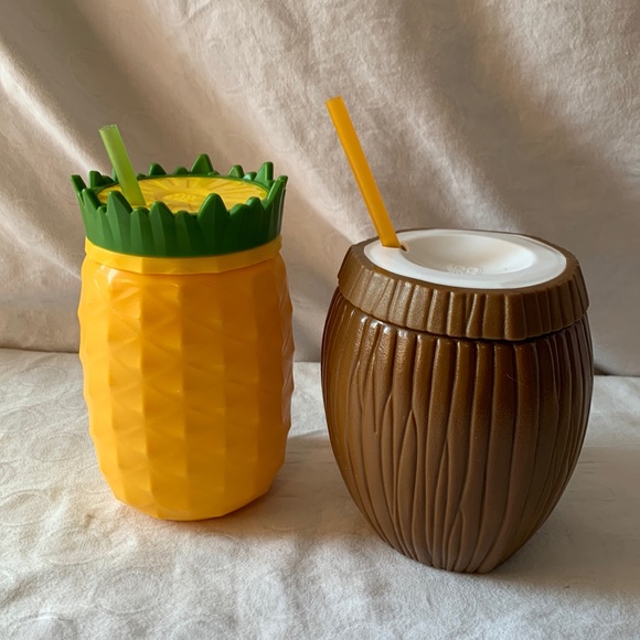 Cool Gear Other - Cool Gear Insulated Drinkware Pineapple & Cactus w/Straw